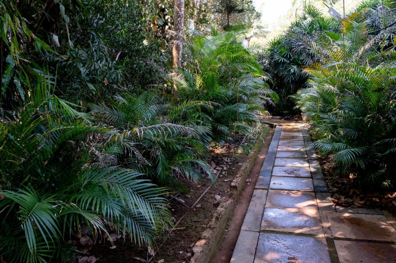 Mangaal Farmstay Goa Vichondrem Exterior photo