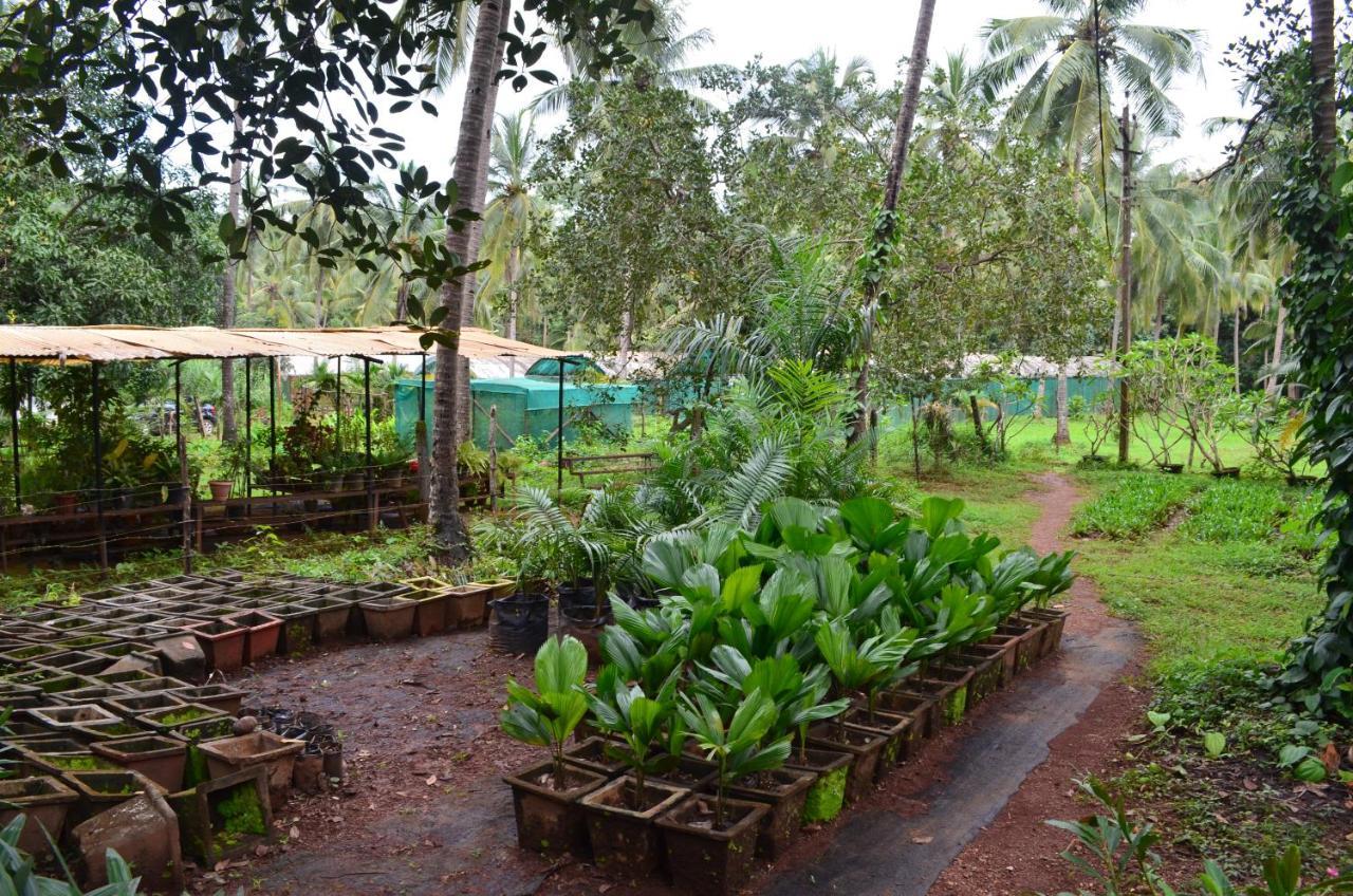 Mangaal Farmstay Goa Vichondrem Exterior photo